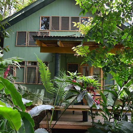 Rainforest Eco Lodge Suva Esterno foto