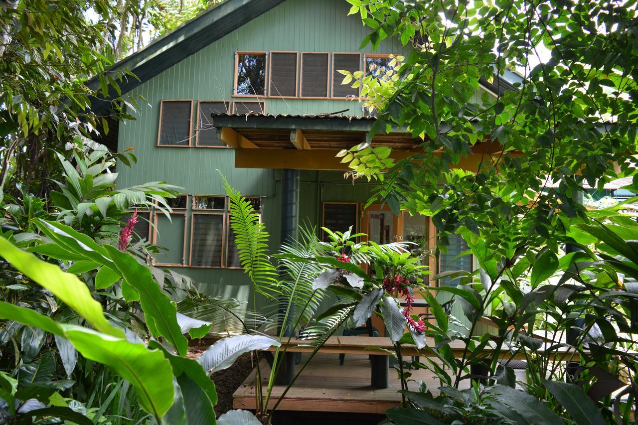 Rainforest Eco Lodge Suva Esterno foto