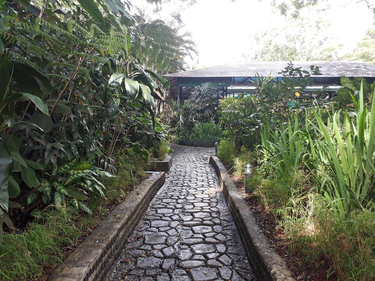 Rainforest Eco Lodge Suva Esterno foto