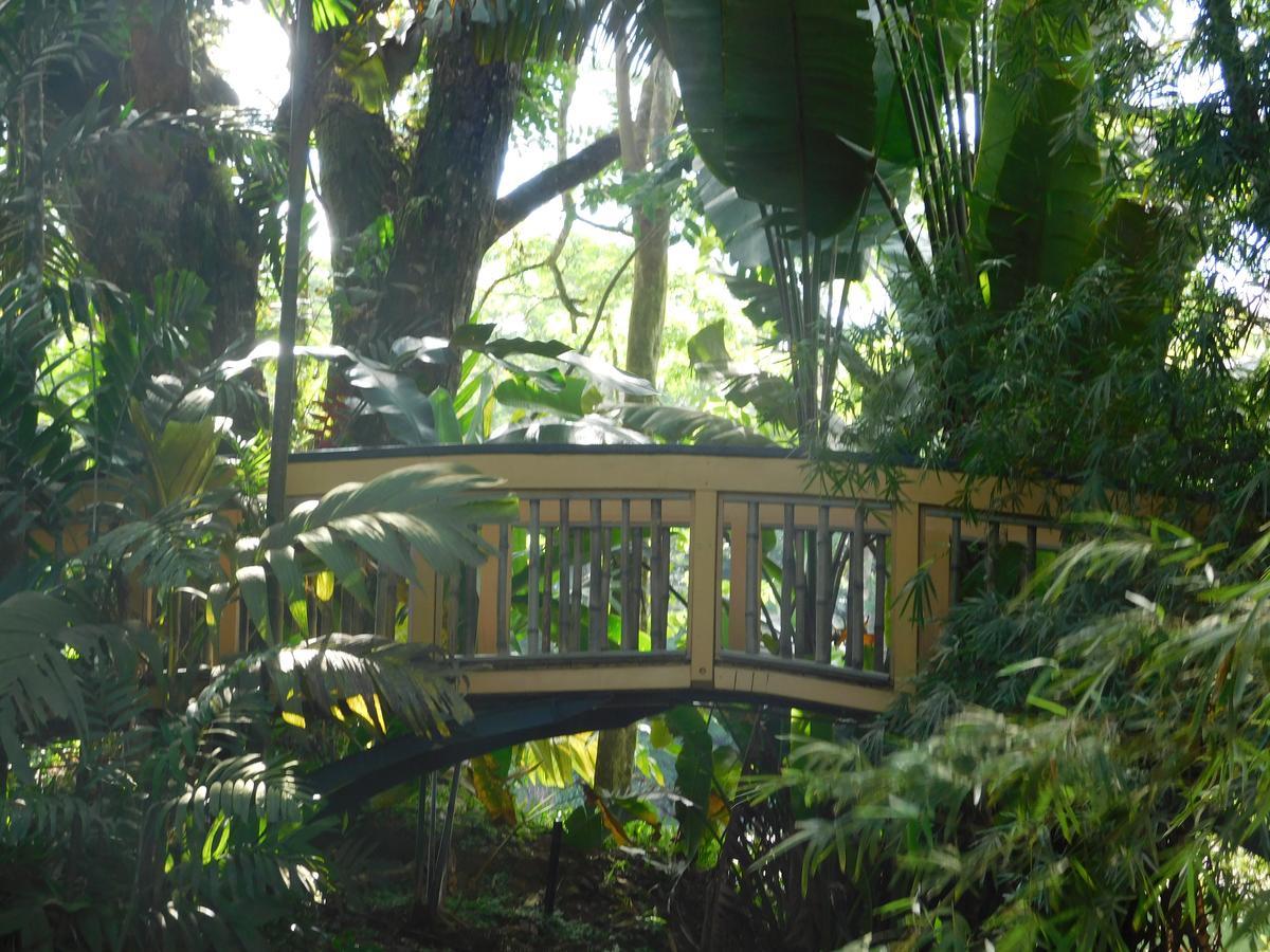 Rainforest Eco Lodge Suva Esterno foto