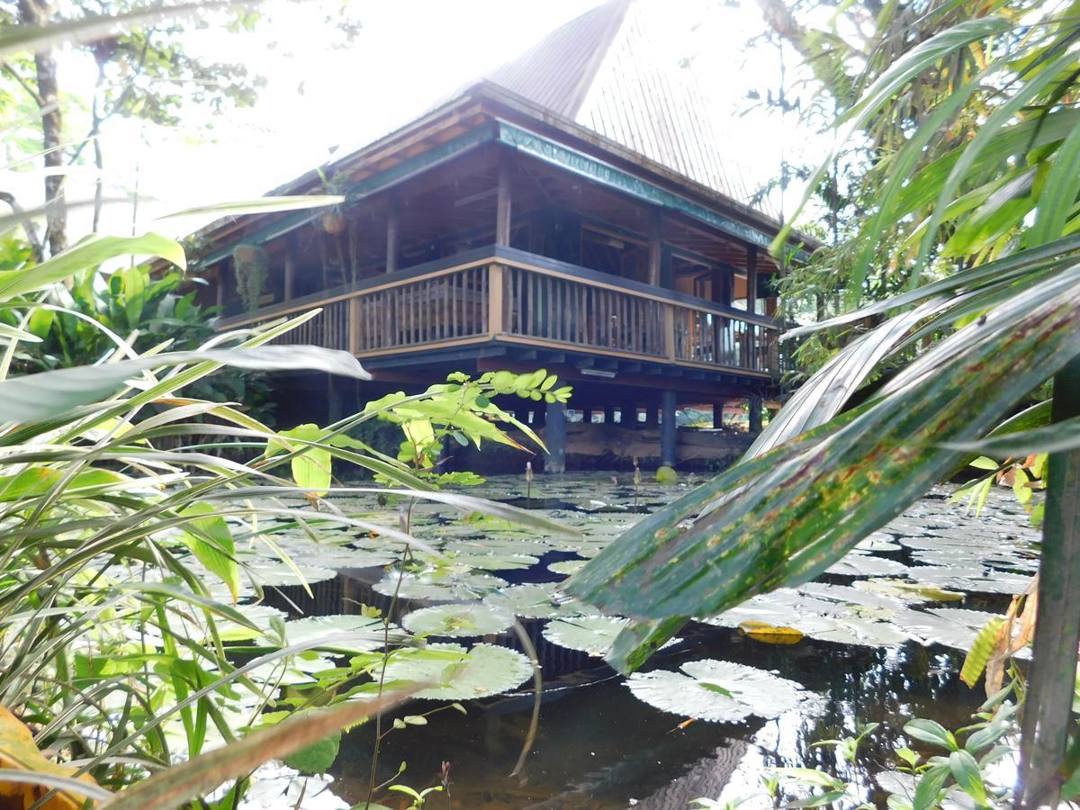 Rainforest Eco Lodge Suva Esterno foto