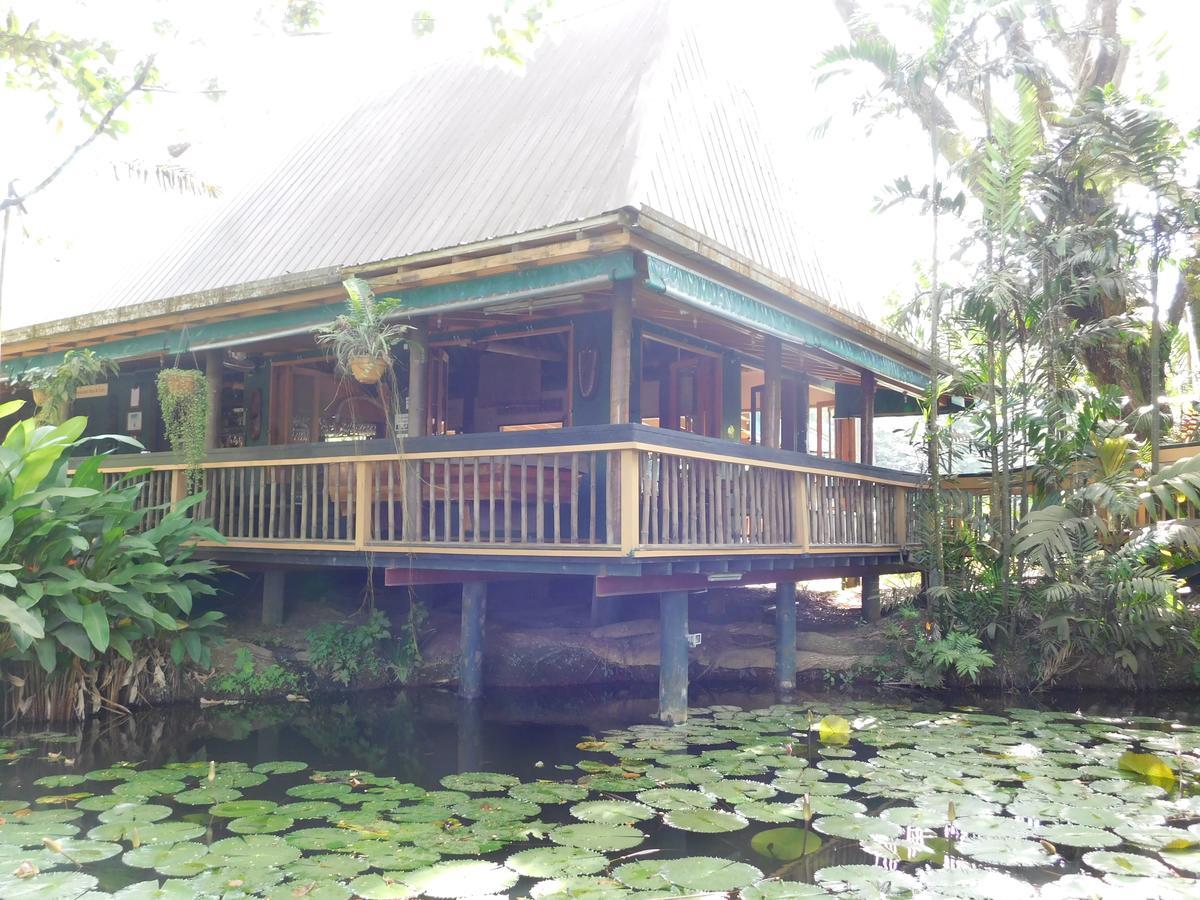 Rainforest Eco Lodge Suva Esterno foto