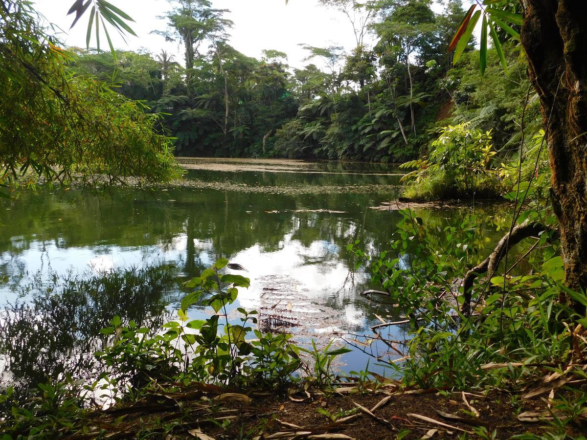 Rainforest Eco Lodge Suva Esterno foto