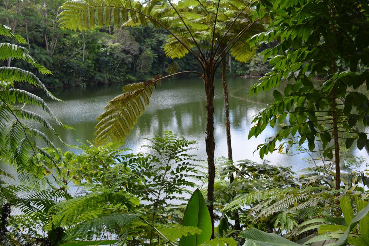Rainforest Eco Lodge Suva Esterno foto