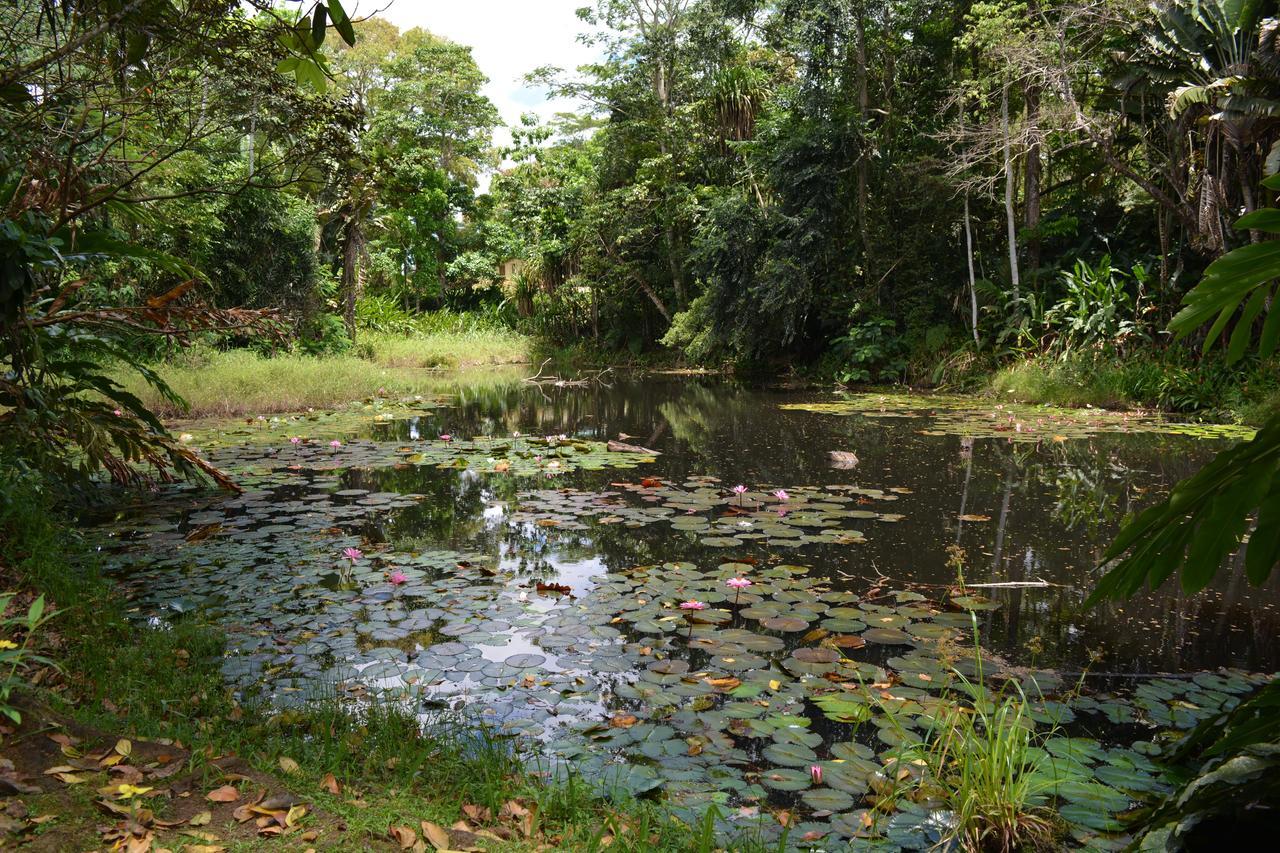 Rainforest Eco Lodge Suva Esterno foto