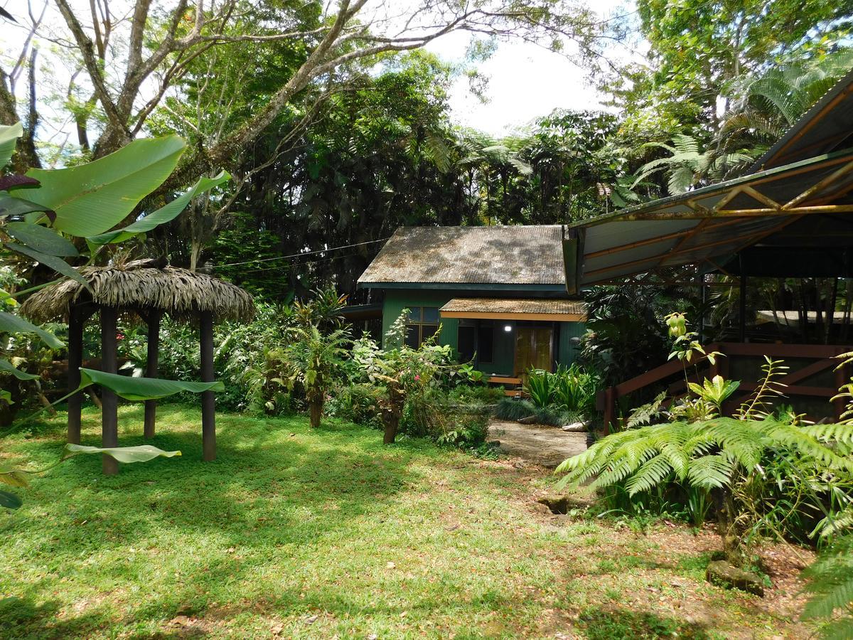 Rainforest Eco Lodge Suva Esterno foto