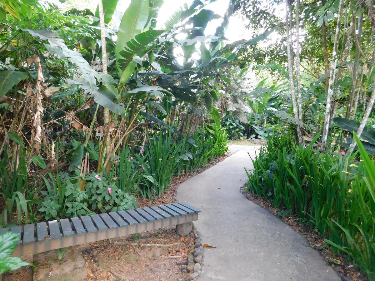 Rainforest Eco Lodge Suva Esterno foto