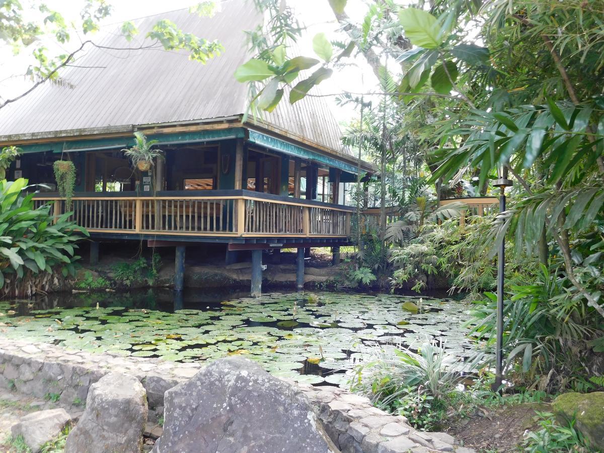 Rainforest Eco Lodge Suva Esterno foto