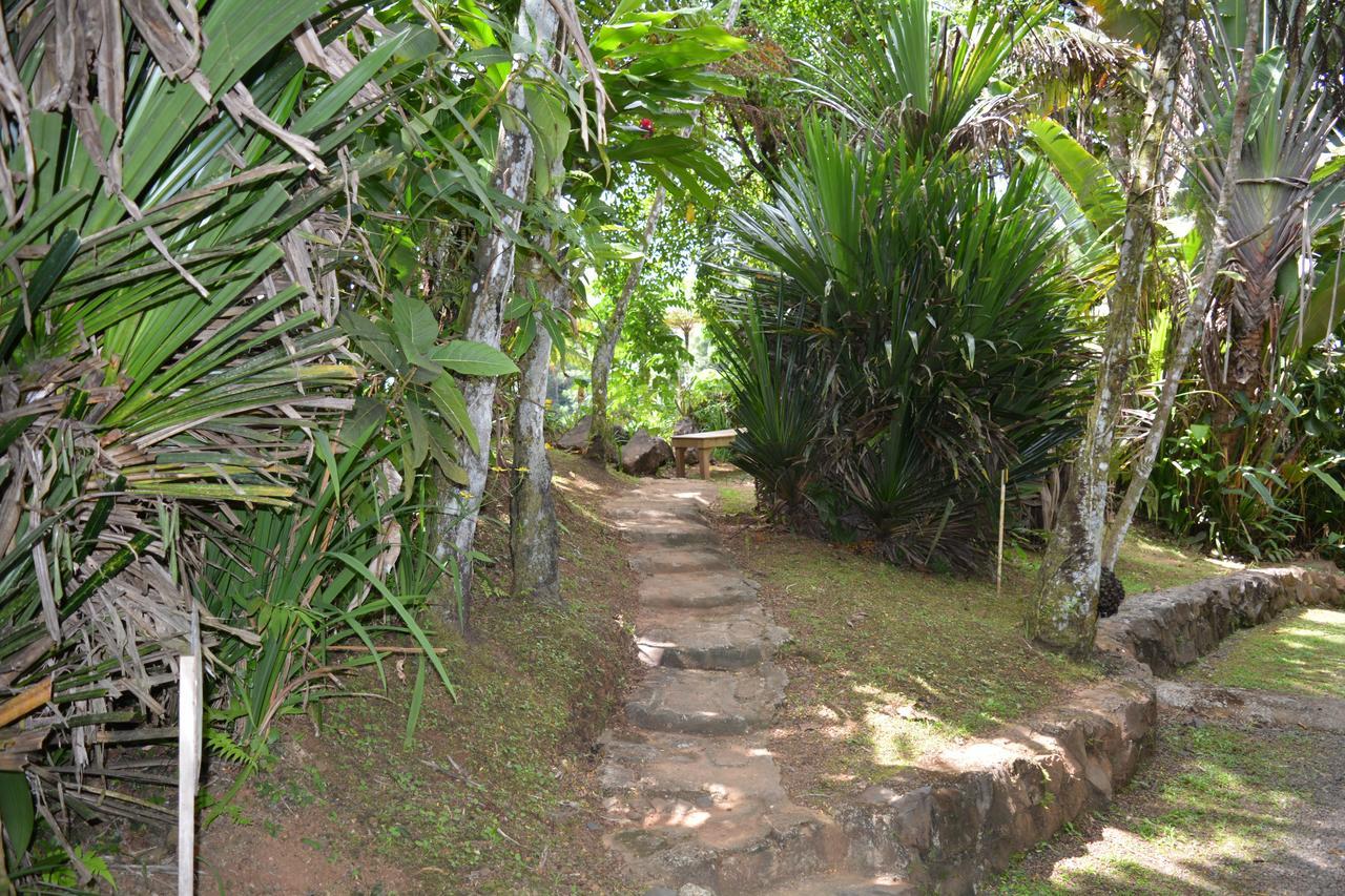 Rainforest Eco Lodge Suva Esterno foto