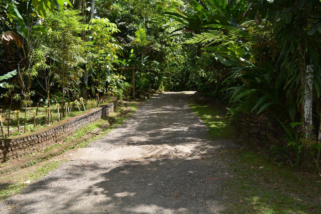 Rainforest Eco Lodge Suva Esterno foto