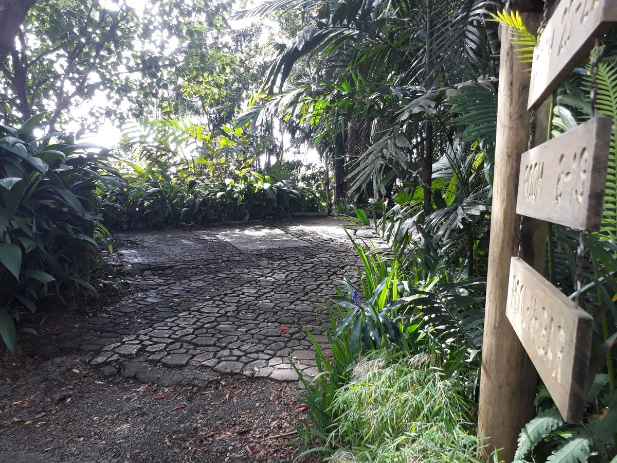 Rainforest Eco Lodge Suva Esterno foto