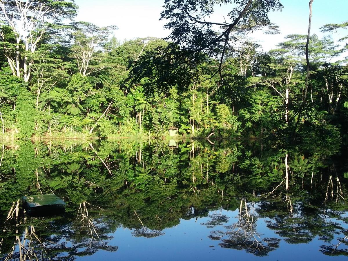 Rainforest Eco Lodge Suva Esterno foto