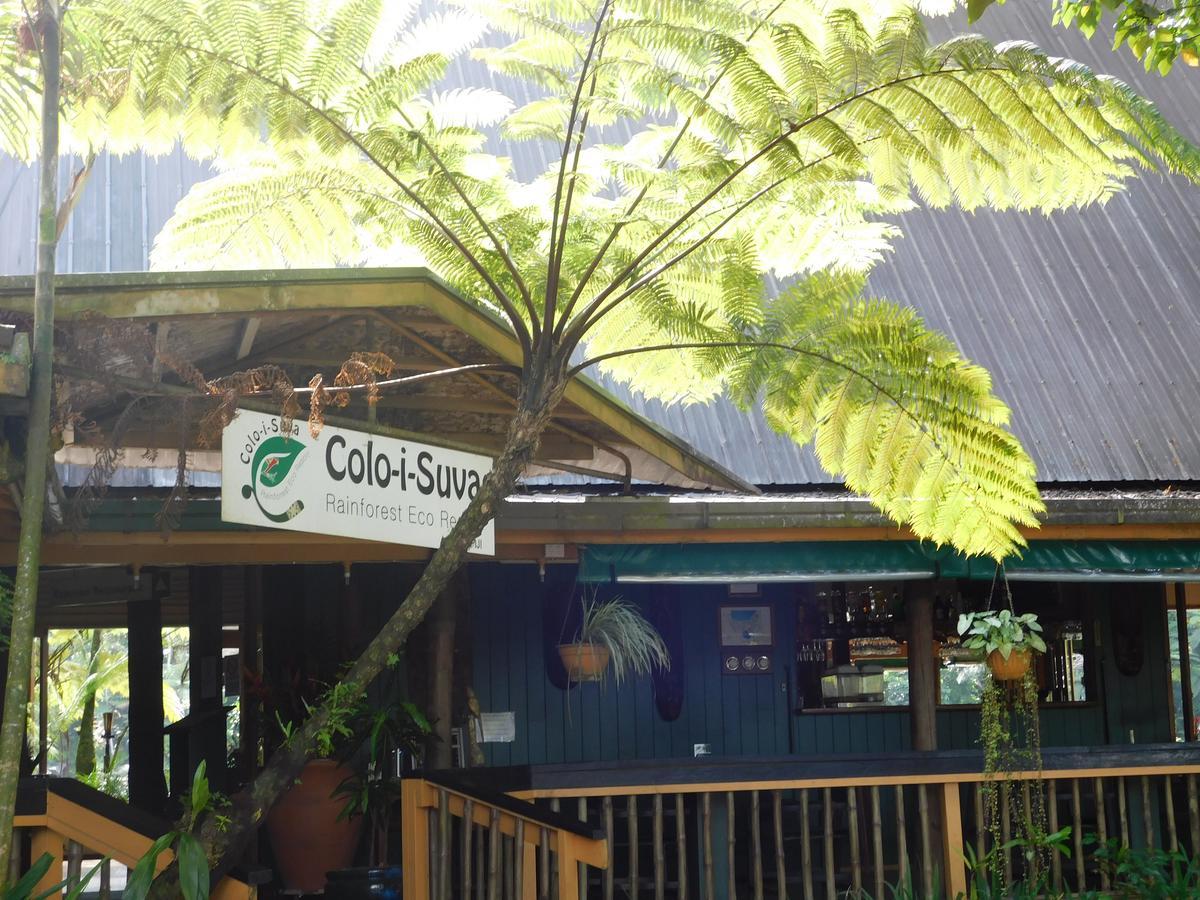 Rainforest Eco Lodge Suva Esterno foto