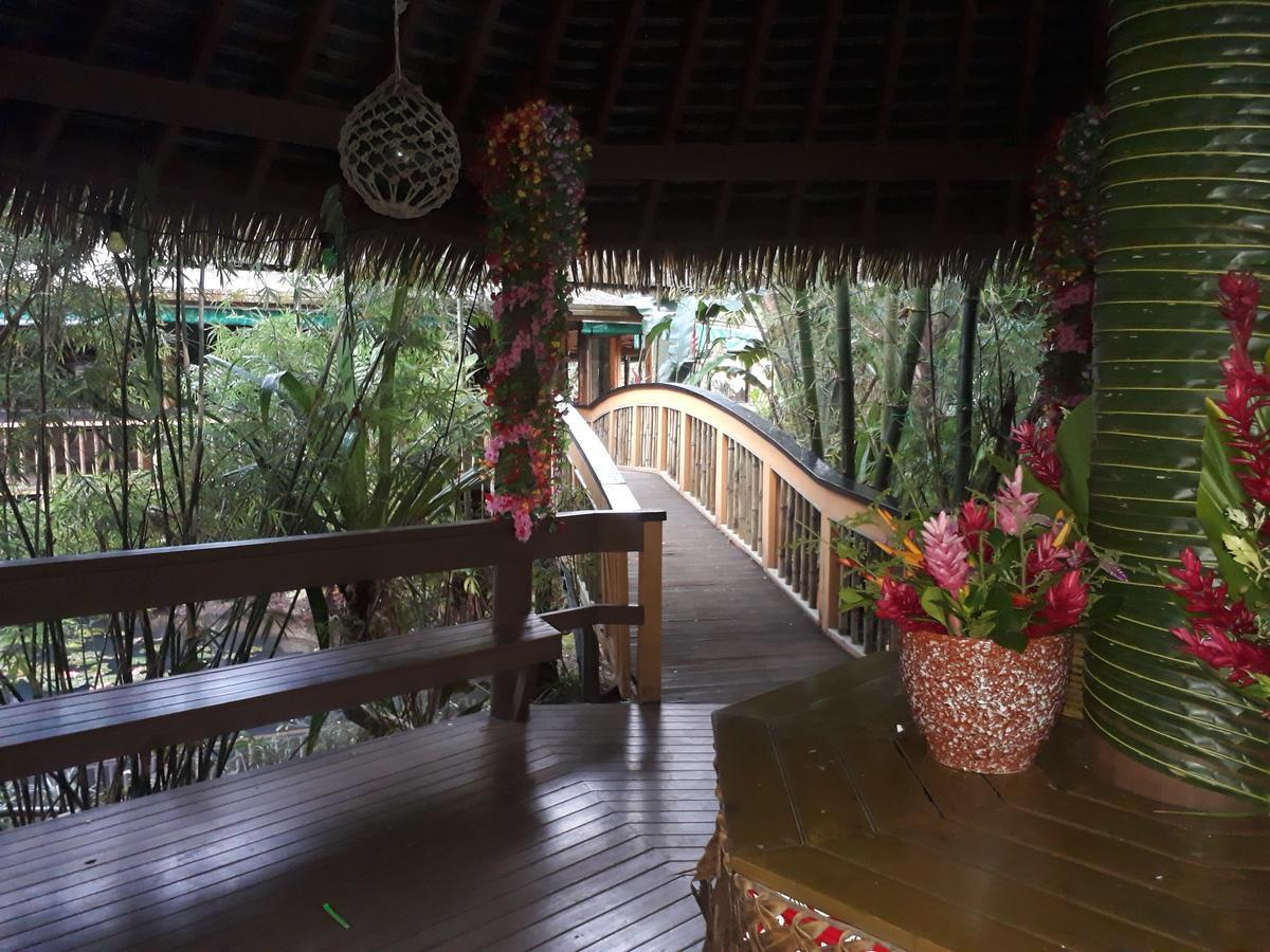 Rainforest Eco Lodge Suva Esterno foto