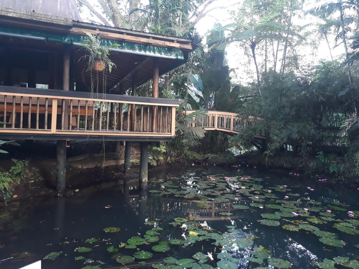 Rainforest Eco Lodge Suva Esterno foto