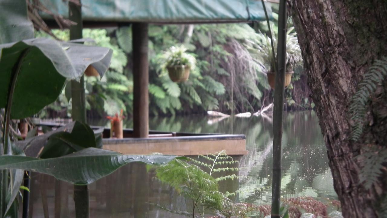 Rainforest Eco Lodge Suva Esterno foto