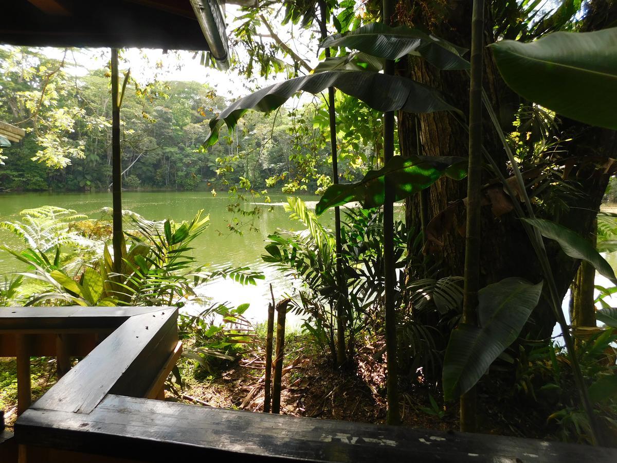 Rainforest Eco Lodge Suva Esterno foto