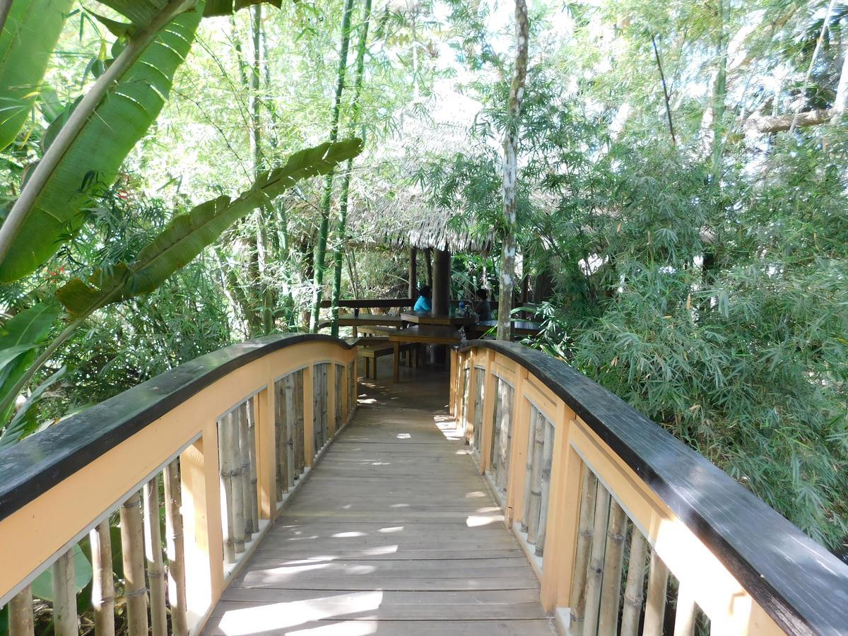 Rainforest Eco Lodge Suva Esterno foto