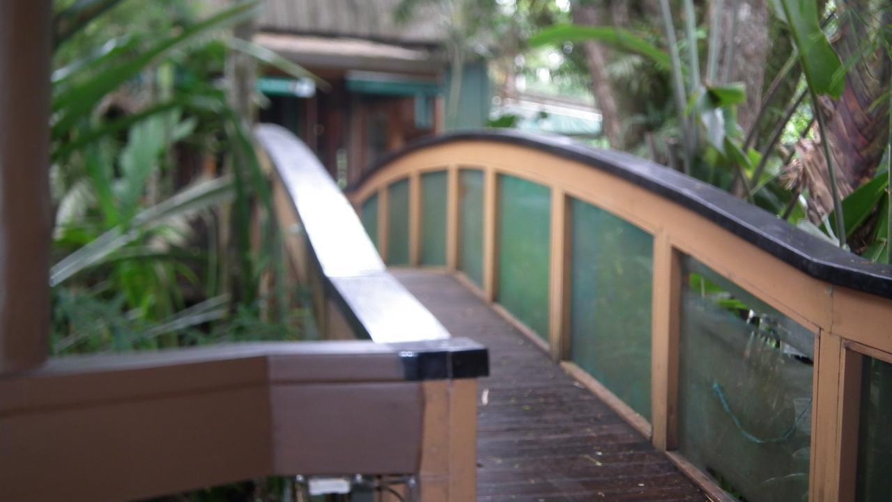 Rainforest Eco Lodge Suva Esterno foto