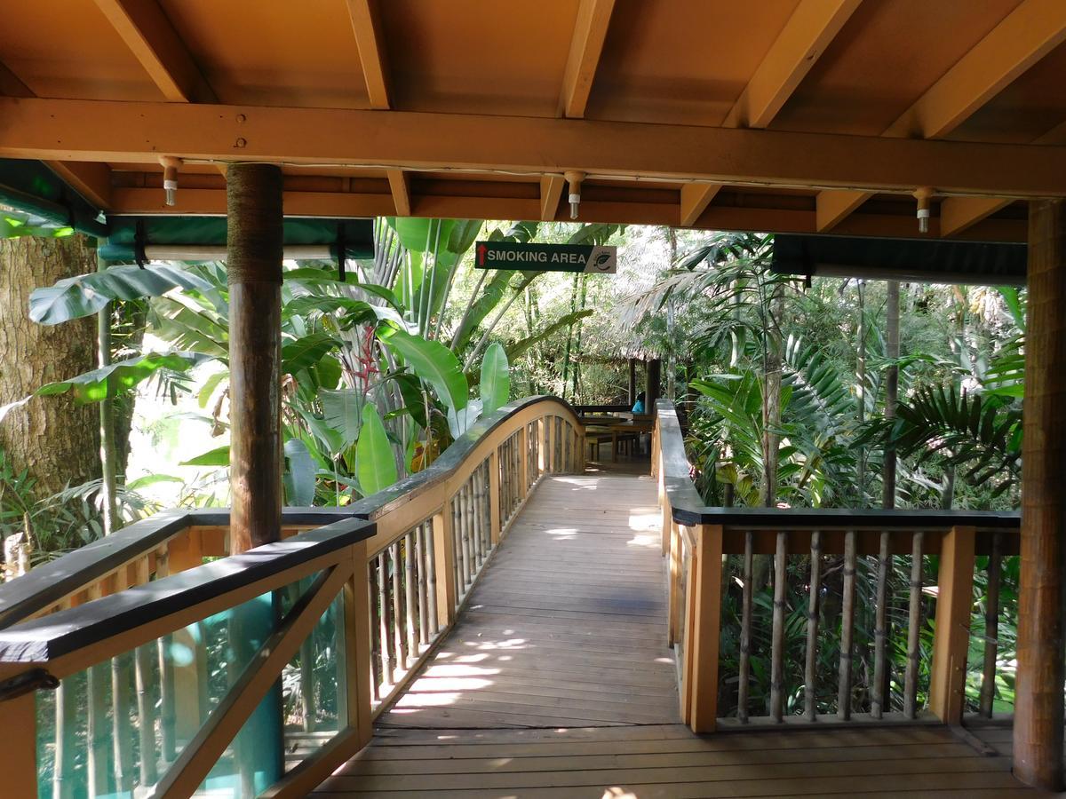 Rainforest Eco Lodge Suva Esterno foto
