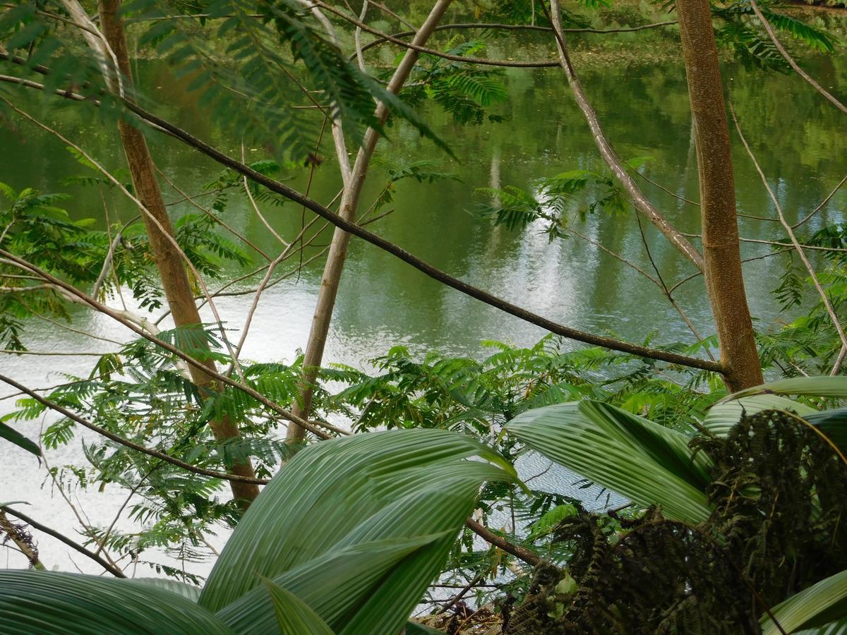 Rainforest Eco Lodge Suva Esterno foto